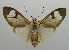  ( - USNM ENT 00797478)  @11 [ ] Unspecified (default): All Rights Reserved  Unspecified Unspecified