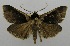  ( - USNM ENT 00797497)  @13 [ ] Unspecified (default): All Rights Reserved  Unspecified Unspecified