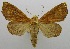  ( - USNM ENT 00797514)  @11 [ ] Unspecified (default): All Rights Reserved  Unspecified Unspecified