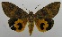 ( - USNM ENT 00797541)  @14 [ ] Unspecified (default): All Rights Reserved  Unspecified Unspecified