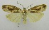  ( - USNM ENT 00797587)  @12 [ ] Unspecified (default): All Rights Reserved  Unspecified Unspecified