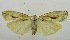  ( - USNM ENT 00797589)  @12 [ ] Unspecified (default): All Rights Reserved  Unspecified Unspecified