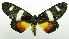  ( - USNM ENT 00797698)  @11 [ ] Unspecified (default): All Rights Reserved  Unspecified Unspecified