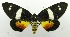  ( - USNM ENT 00797700)  @11 [ ] Unspecified (default): All Rights Reserved  Unspecified Unspecified
