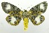  ( - USNM ENT 00797712)  @11 [ ] Unspecified (default): All Rights Reserved  Unspecified Unspecified