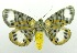  ( - USNM ENT 00797713)  @11 [ ] Unspecified (default): All Rights Reserved  Unspecified Unspecified