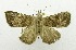  ( - USNM ENT 00798008)  @12 [ ] Unspecified (default): All Rights Reserved  Unspecified Unspecified