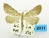  (HypenaNAGHer - USNM ENT 00798018)  @14 [ ] Unspecified (default): All Rights Reserved  Unspecified Unspecified