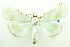  ( - USNM ENT 00798183)  @11 [ ] Unspecified (default): All Rights Reserved  Unspecified Unspecified
