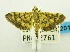  ( - USNM ENT 00798359)  @13 [ ] Unspecified (default): All Rights Reserved  Unspecified Unspecified