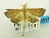  (Hydrorybina nr. polusalis - USNM ENT 00798361)  @12 [ ] Unspecified (default): All Rights Reserved  Unspecified Unspecified
