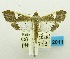  ( - USNM ENT 00798377)  @14 [ ] Unspecified (default): All Rights Reserved  Unspecified Unspecified