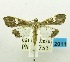  ( - USNM ENT 00798378)  @14 [ ] Unspecified (default): All Rights Reserved  Unspecified Unspecified
