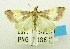  (Trigonoorda rhodea - USNM ENT 00798412)  @13 [ ] Unspecified (default): All Rights Reserved  Unspecified Unspecified