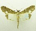 ( - USNM ENT 00798428)  @11 [ ] Unspecified (default): All Rights Reserved  Unspecified Unspecified
