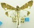  ( - USNM ENT 00798429)  @11 [ ] Unspecified (default): All Rights Reserved  Unspecified Unspecified