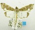  ( - USNM ENT 00798431)  @12 [ ] Unspecified (default): All Rights Reserved  Unspecified Unspecified