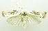  ( - USNM ENT 00798541)  @12 [ ] Unspecified (default): All Rights Reserved  Unspecified Unspecified