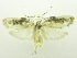  ( - USNM ENT 00798542)  @13 [ ] Unspecified (default): All Rights Reserved  Unspecified Unspecified