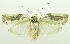  ( - USNM ENT 00798543)  @13 [ ] Unspecified (default): All Rights Reserved  Unspecified Unspecified