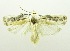  ( - USNM ENT 00798544)  @12 [ ] Unspecified (default): All Rights Reserved  Unspecified Unspecified
