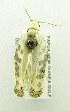  ( - USNM ENT 00798546)  @12 [ ] Unspecified (default): All Rights Reserved  Unspecified Unspecified