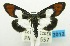  ( - USNM ENT 00798570)  @13 [ ] Unspecified (default): All Rights Reserved  Unspecified Unspecified