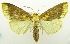  ( - USNM ENT 00798682)  @11 [ ] Unspecified (default): All Rights Reserved  Unspecified Unspecified