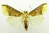  ( - USNM ENT 00798684)  @11 [ ] Unspecified (default): All Rights Reserved  Unspecified Unspecified
