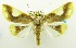  ( - USNM ENT 00798711)  @11 [ ] Unspecified (default): All Rights Reserved  Unspecified Unspecified