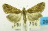  ( - USNM ENT 00798719)  @11 [ ] Unspecified (default): All Rights Reserved  Unspecified Unspecified