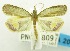  (Neogenesis - USNM ENT 00798720)  @12 [ ] Unspecified (default): All Rights Reserved  Unspecified Unspecified