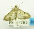  ( - USNM ENT 00798725)  @13 [ ] Unspecified (default): All Rights Reserved  Unspecified Unspecified