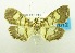  ( - USNM ENT 00798748)  @12 [ ] Unspecified (default): All Rights Reserved  Unspecified Unspecified