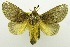  ( - USNM ENT 00798784)  @13 [ ] Unspecified (default): All Rights Reserved  Unspecified Unspecified