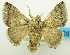  ( - USNM ENT 00798794)  @13 [ ] Unspecified (default): All Rights Reserved  Unspecified Unspecified