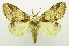  ( - USNM ENT 00798924)  @11 [ ] Unspecified (default): All Rights Reserved  Unspecified Unspecified