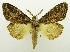  ( - USNM ENT 00798944)  @11 [ ] Unspecified (default): All Rights Reserved  Unspecified Unspecified