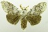  ( - USNM ENT 00798963)  @13 [ ] Unspecified (default): All Rights Reserved  Unspecified Unspecified