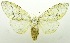  ( - USNM ENT 00798971)  @11 [ ] Unspecified (default): All Rights Reserved  Unspecified Unspecified