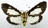  ( - USNM ENT 00799583)  @14 [ ] Unspecified (default): All Rights Reserved  Unspecified Unspecified