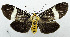  ( - USNM ENT 00799605)  @14 [ ] Unspecified (default): All Rights Reserved  Unspecified Unspecified