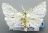  ( - USNM ENT 00799628)  @13 [ ] Unspecified (default): All Rights Reserved  Unspecified Unspecified