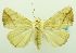  ( - USNM ENT 00800270)  @14 [ ] Unspecified (default): All Rights Reserved  Unspecified Unspecified