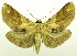  ( - USNM ENT 00800376)  @11 [ ] Unspecified (default): All Rights Reserved  Unspecified Unspecified