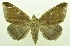  ( - USNM ENT 00800418)  @11 [ ] Unspecified (default): All Rights Reserved  Unspecified Unspecified