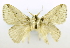  ( - USNM ENT 00800674)  @12 [ ] Unspecified (default): All Rights Reserved  Unspecified Unspecified
