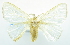  ( - USNM ENT 00800682)  @14 [ ] Unspecified (default): All Rights Reserved  Unspecified Unspecified