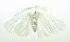  ( - USNM ENT 00800684)  @12 [ ] Unspecified (default): All Rights Reserved  Unspecified Unspecified