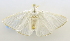 ( - USNM ENT 00800685)  @13 [ ] Unspecified (default): All Rights Reserved  Unspecified Unspecified